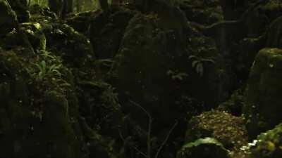 Assassin's Creed Valhalla in-game vs real life comparison