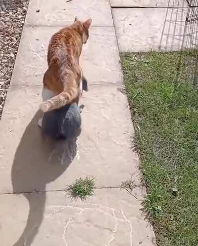 Fits this sub in the best possible way