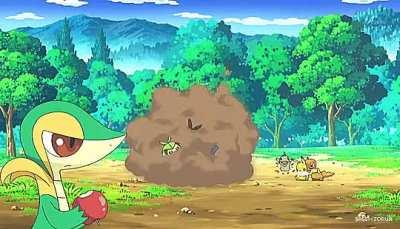 Others fight while Snivy watches them