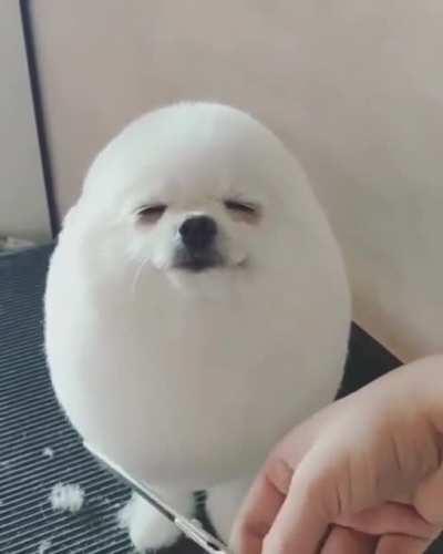 The smile at the end!