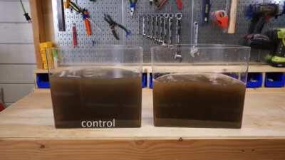 This powder can make stagnant, dirty water drinkable in about 5 minutes