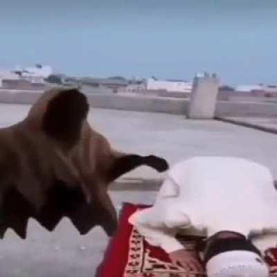 chad allah saves man from getting hit by a ghost