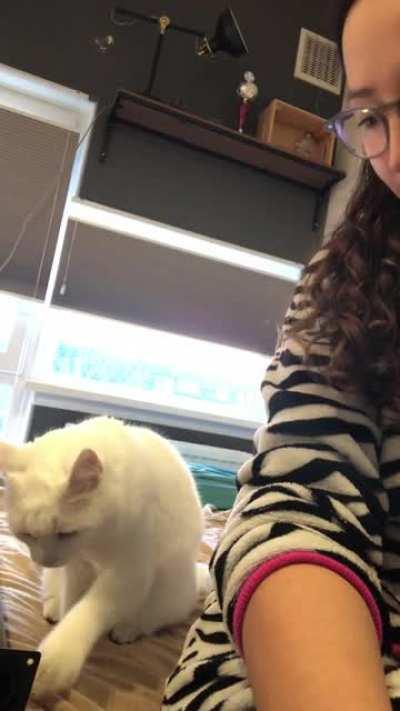 Many cuddles were given after this!