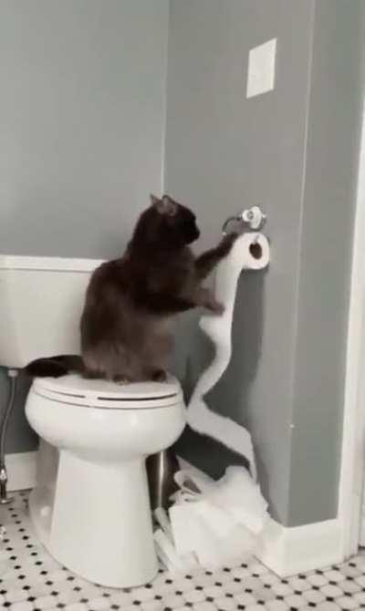 Caught red-handed and he’s still gonna finish what he started 🤷🏽‍♀️ 🐈‍⬛