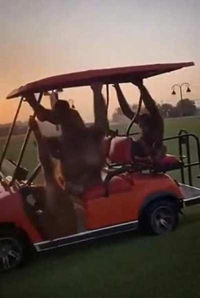 This is the future libreals want!