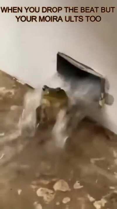 Raise your hand if you're the Moira