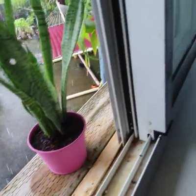 Trying to quit smoking but really had to puff one out the window when it's raining......