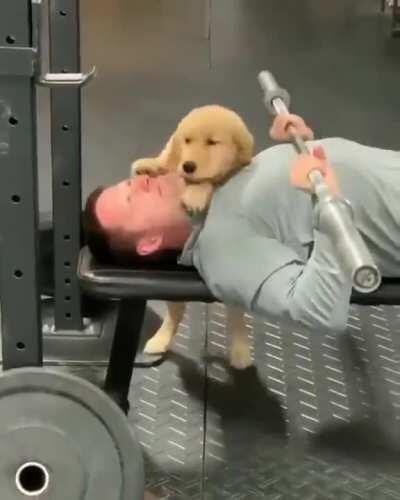 Thanks I love puppy at the gym