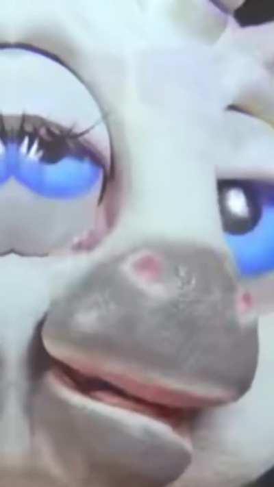 Does anyone remember the squatty potty?