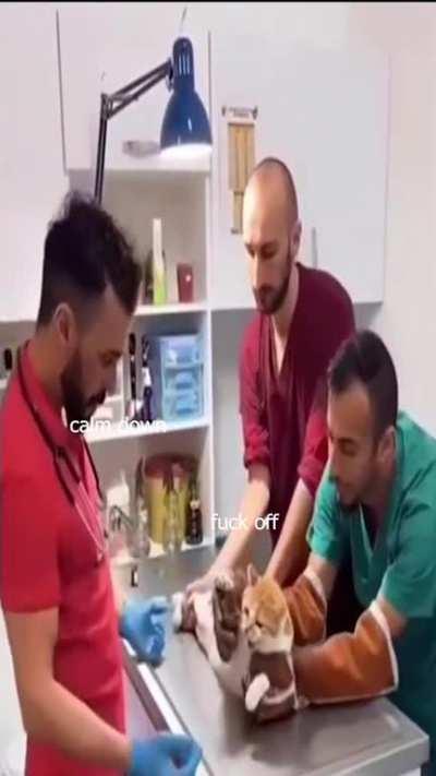 dehya mains in shambles (read the comment if you saw the post before)