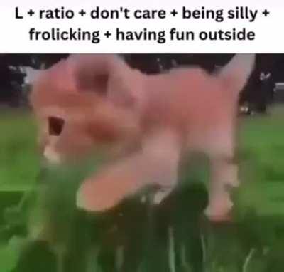 +frolicking+being silly