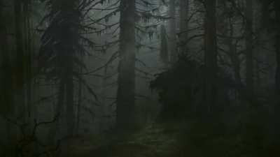 There's Something In The Woods...