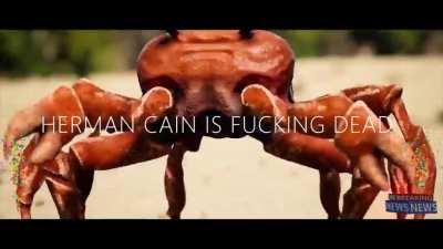 🦀🦀🦀🦀🦀🦀🦀🦀🦀🦀