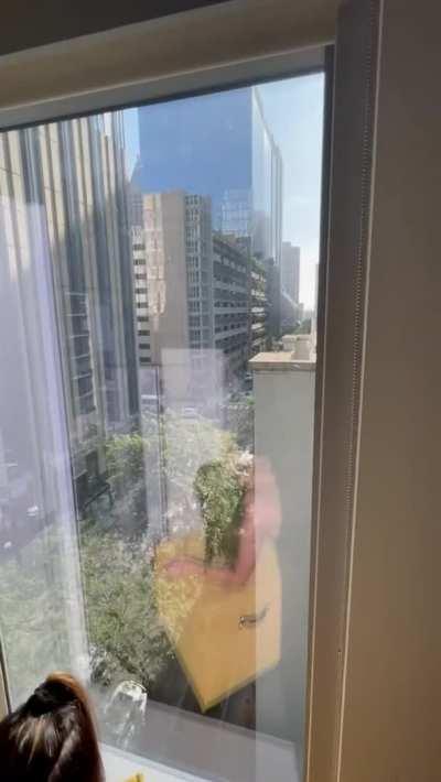 Closed the windows so they couldn’t hear me [GIF]