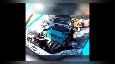 My friend sent me this and it quickly became my favourite video