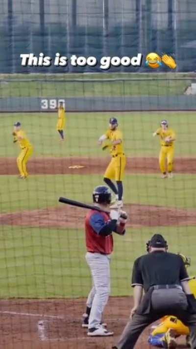 Most impressive pitch I've ever seen, even the Umpire was getting into it.