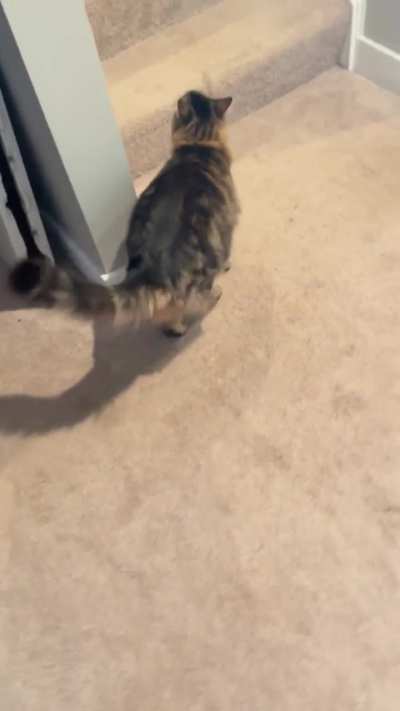 I still have no idea what he needed to discuss