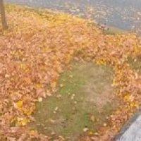 Drones are the future