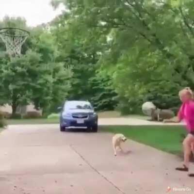 Yuh yani iki mal bir arada