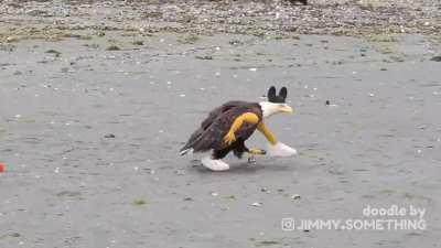 The most American video ever... 🇺🇸 🇺🇸 🇺🇸🇺🇸 🇺🇸 🇺🇸