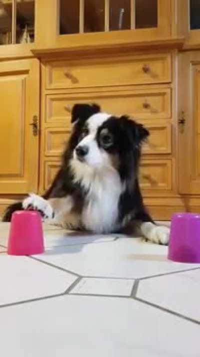 The way he put his hand on the cup what a smart boi