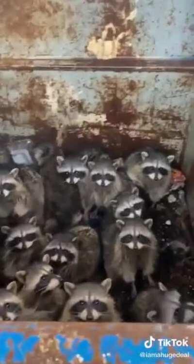 I'm pretty sure they're stuck in there