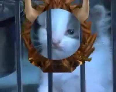 Please, adopt a Feral Druid Today