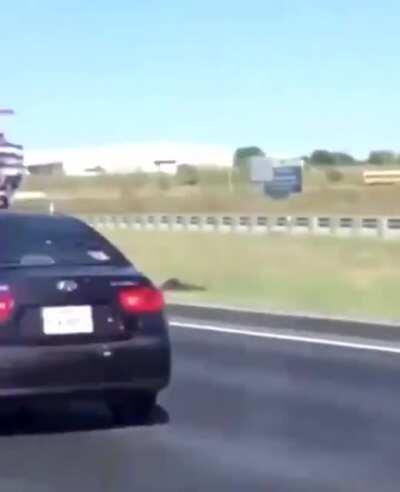 Band of Trump vehicles surround Biden bus