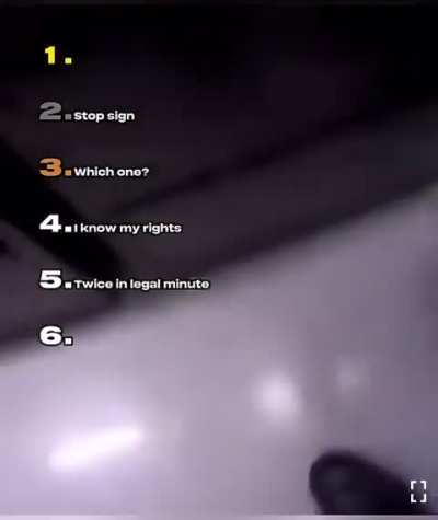 6 silly police run-ins