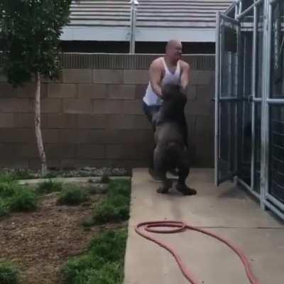 This massive unit doesn't seem to have been shared here yet... astounding.