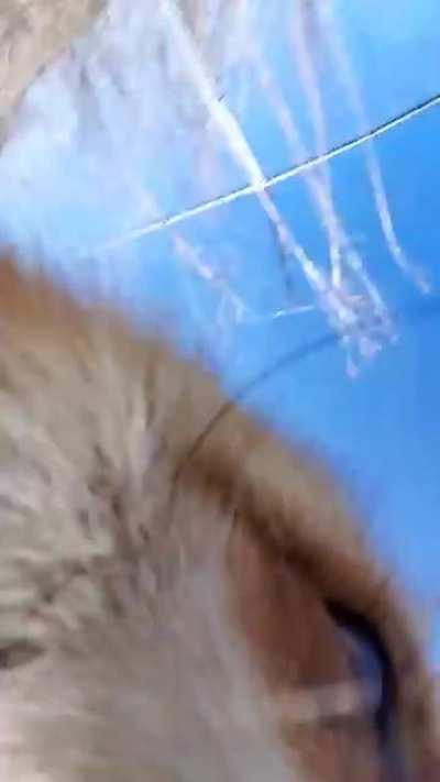 HMC while I want to share my morning exercise