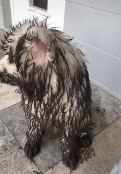 The apple doesn't fall far from the tree