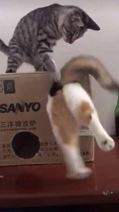 Someone is eating too much.