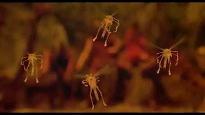 Shiver My Timbers - The epic opening scene (by Hans Zimmer) from 