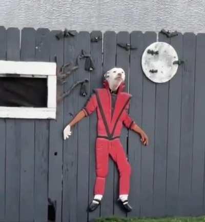 When the dog owners have a good sense of humour..