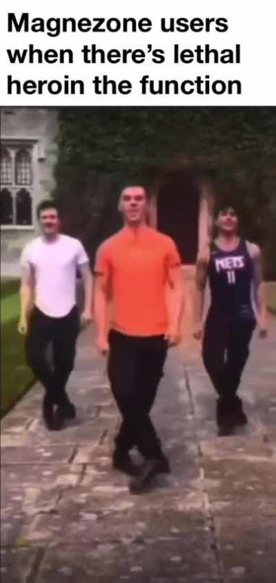 Landorus users after burying a childrens hospital in west africa