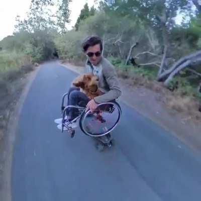 The dog’s like, you seeing this skill?!