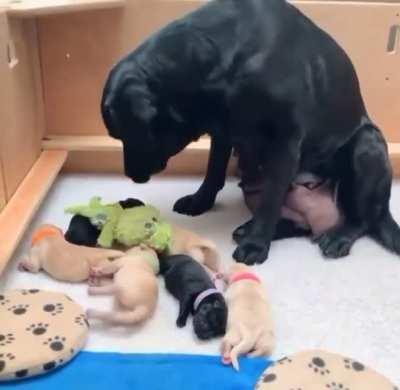 Proud mom and her babies