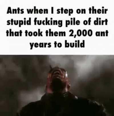 Ants