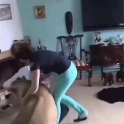 WCGW when you have a pet lion