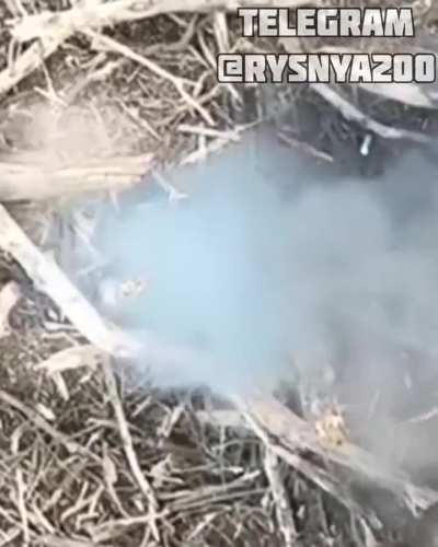 2 vog dropped on 1 russian soldier Ripping him open while still conscious