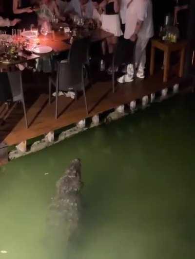 Dinner with a view.. What a crock