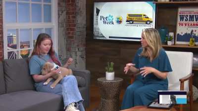 Today In Nashville. WSMV4 TV. April 7th 2026