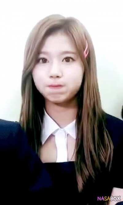 That's how a chipmunk munch?