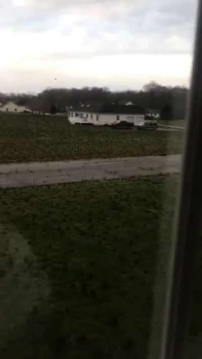 the amount of birds in my neighborhood this morning