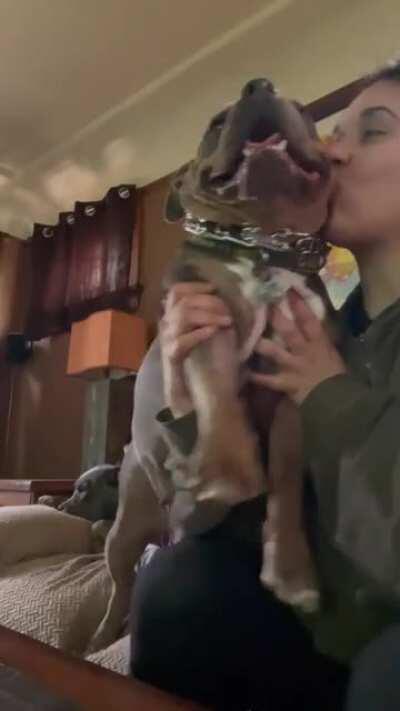 1st time posting on this sub... say hello to my baby girl Blubird!