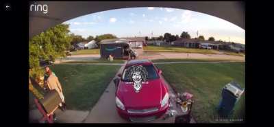 Dog owner allows dog off leash and slaps a delivery driver.