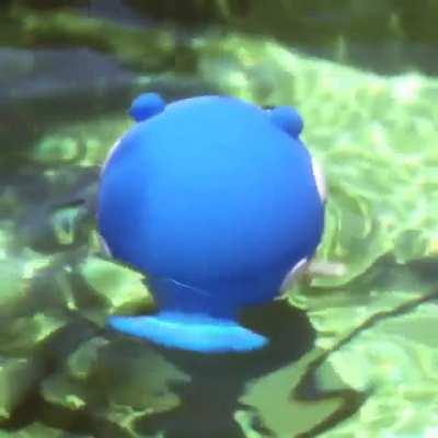 This reddit need a wholesome post have a spheal spinning