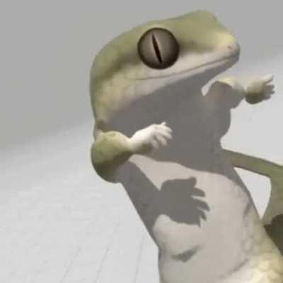 Drunk lizard, the unpredictable dancer