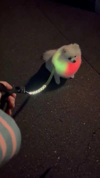 Didnt Know He Was A Gamer